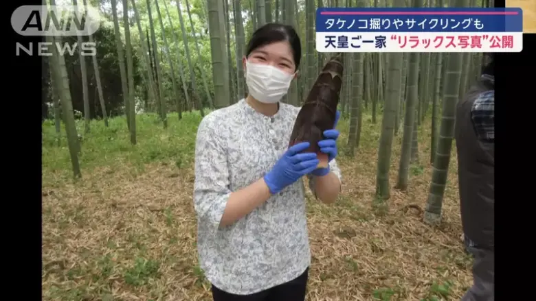 为什么「日本公主的爱猫」看起来像竹笋？皇室的解释无人敢质疑？ - 偶像便利店