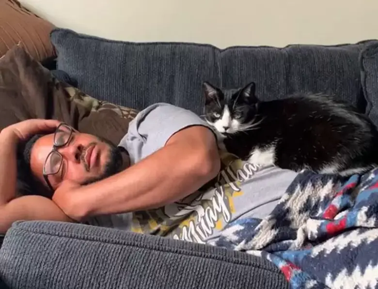 网友分享“猫咪睡觉的位置与主人之间的关系”，这4个地方揭示猫咪的心理状态？ - 偶像便利店