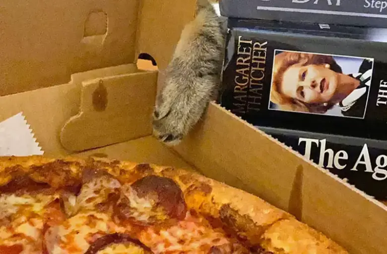 抓包毛孩偷吃的瞬间！无奈的是，即使抓到了也只能宠溺吸猫 - 偶像便利店