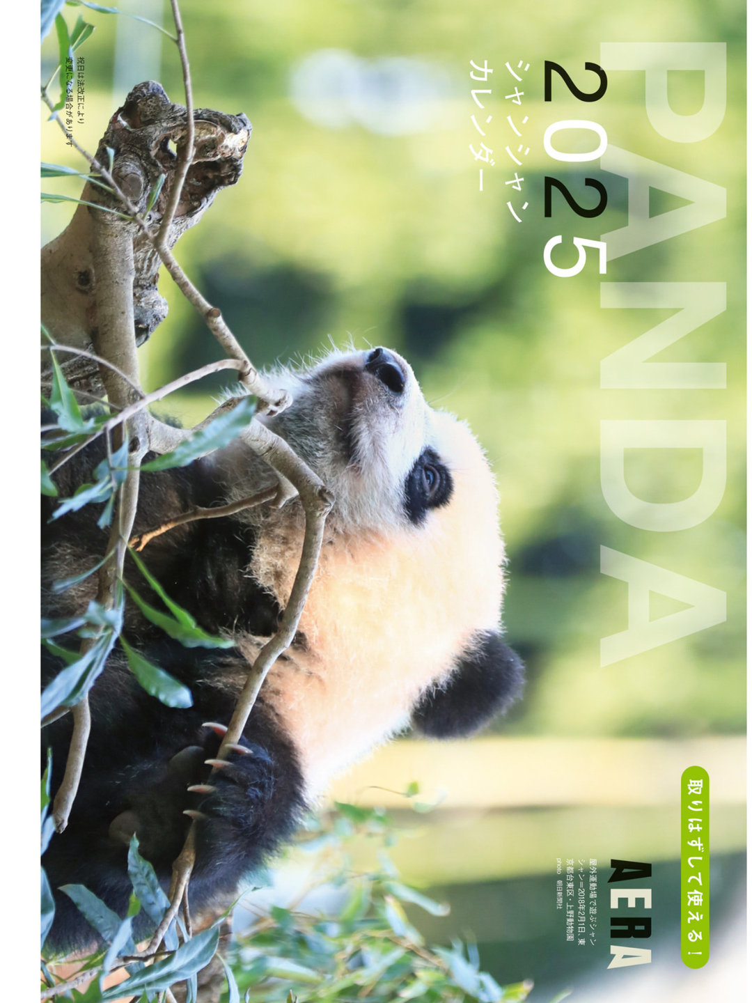 熊猫 AERA2024.12.30-2025.1.6 - 偶像便利店