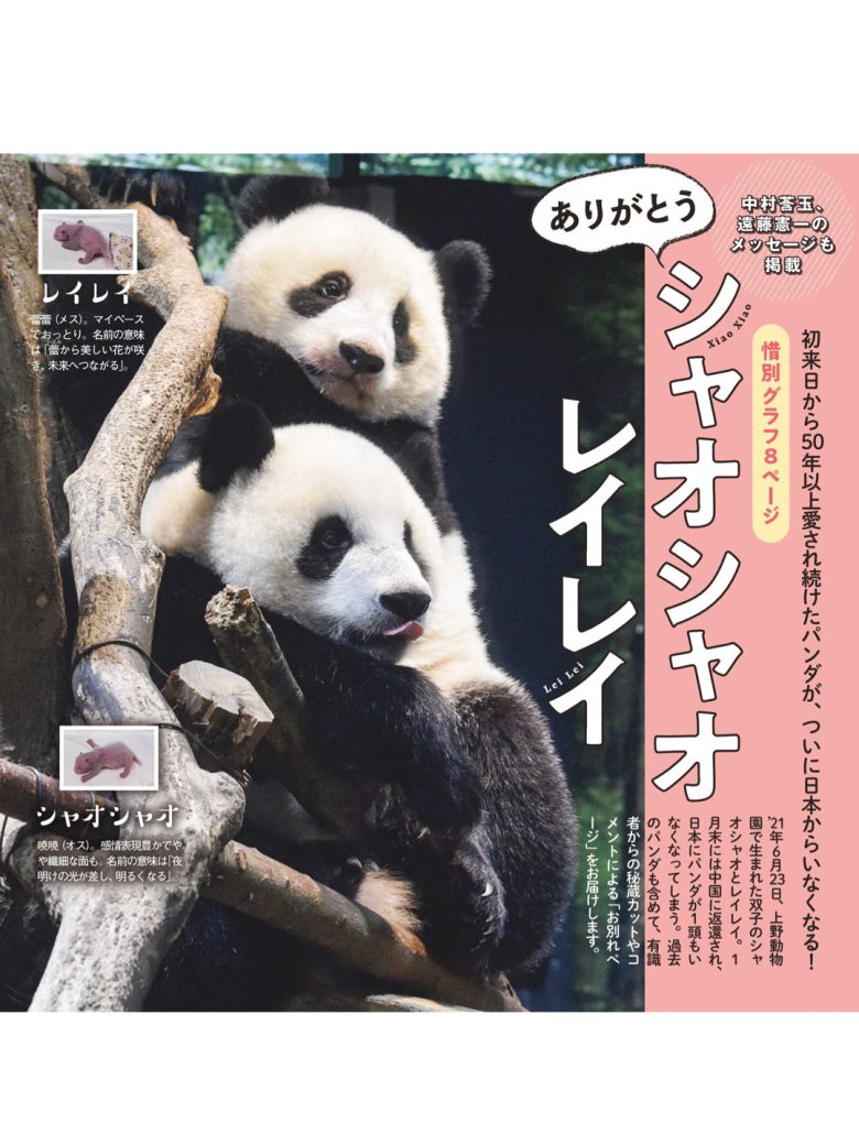熊猫 女性セブン 2026年 2月5日号 - 偶像便利店