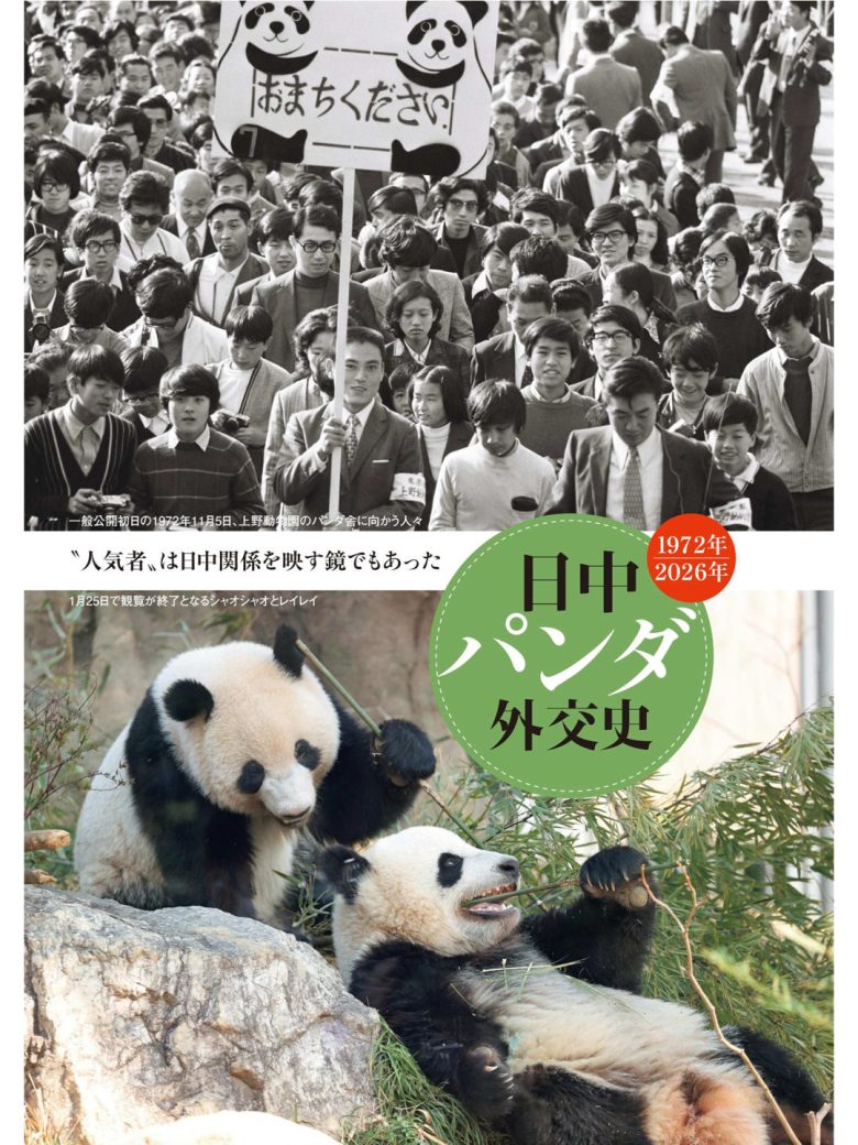 熊猫 週刊ポスト 2026年1月30日号 - 偶像便利店