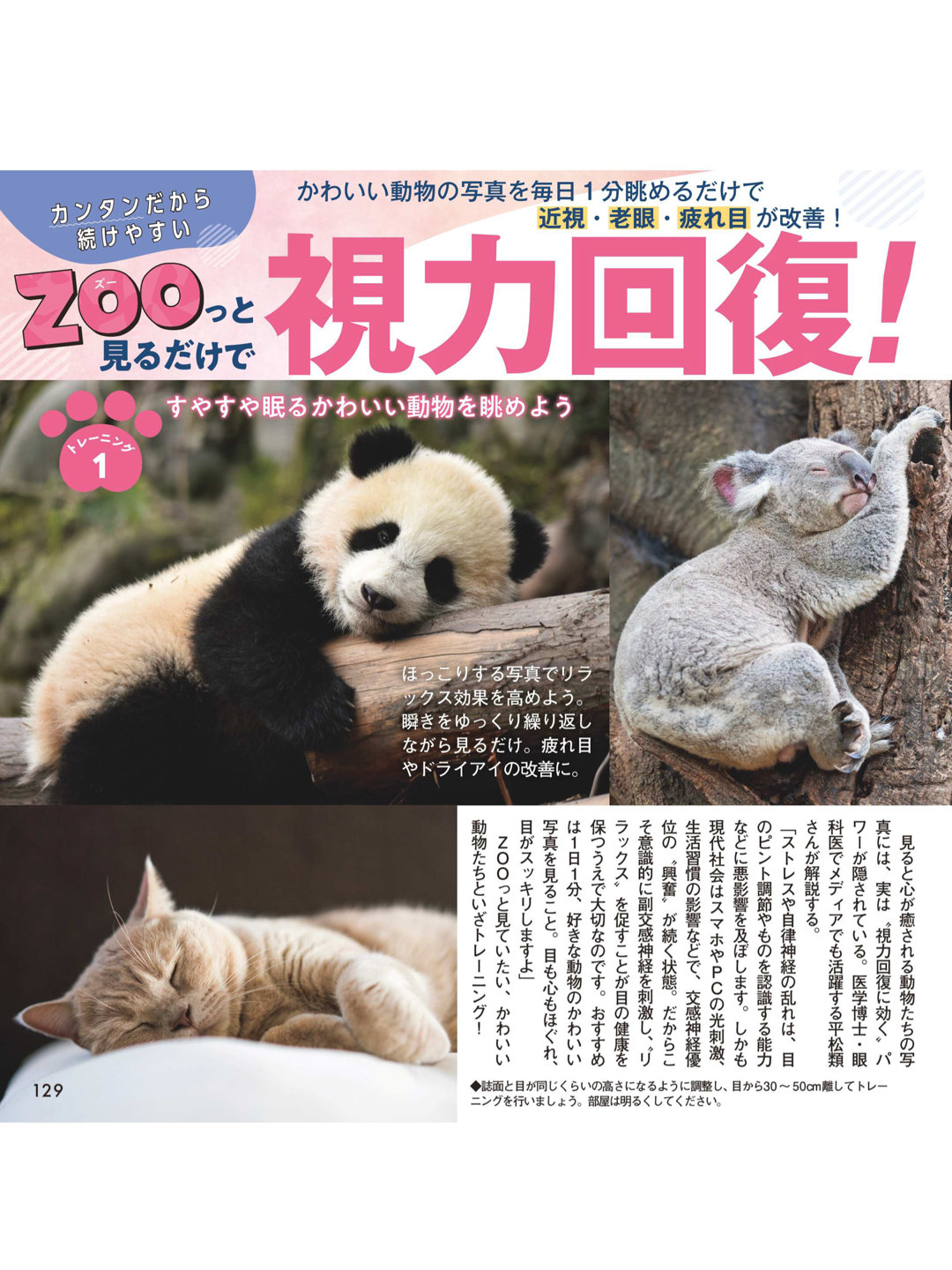 熊猫 女性セブン 2026年 1月29日号 - 偶像便利店